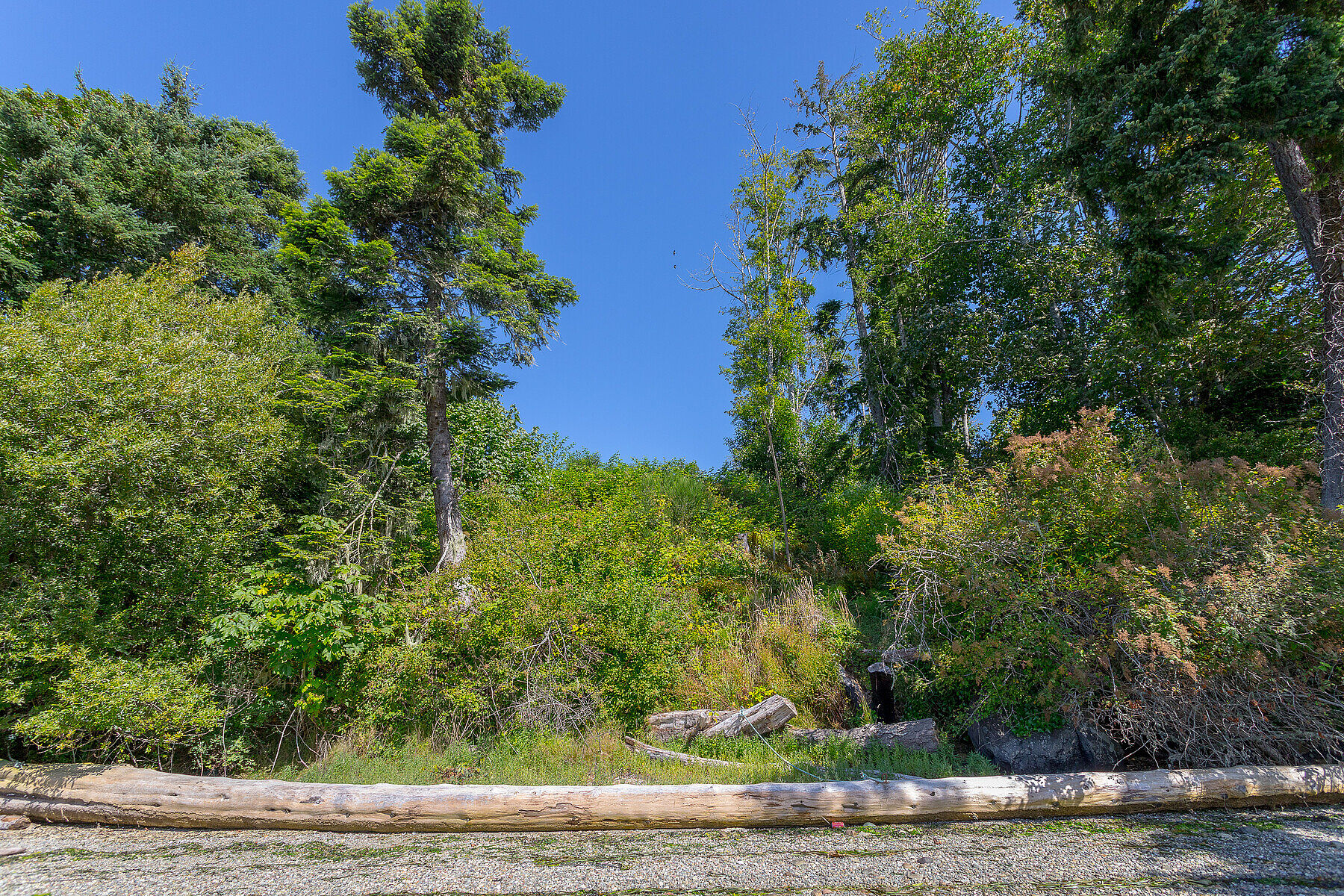  Heart of Sooke Waterfront Lot - 物件實景