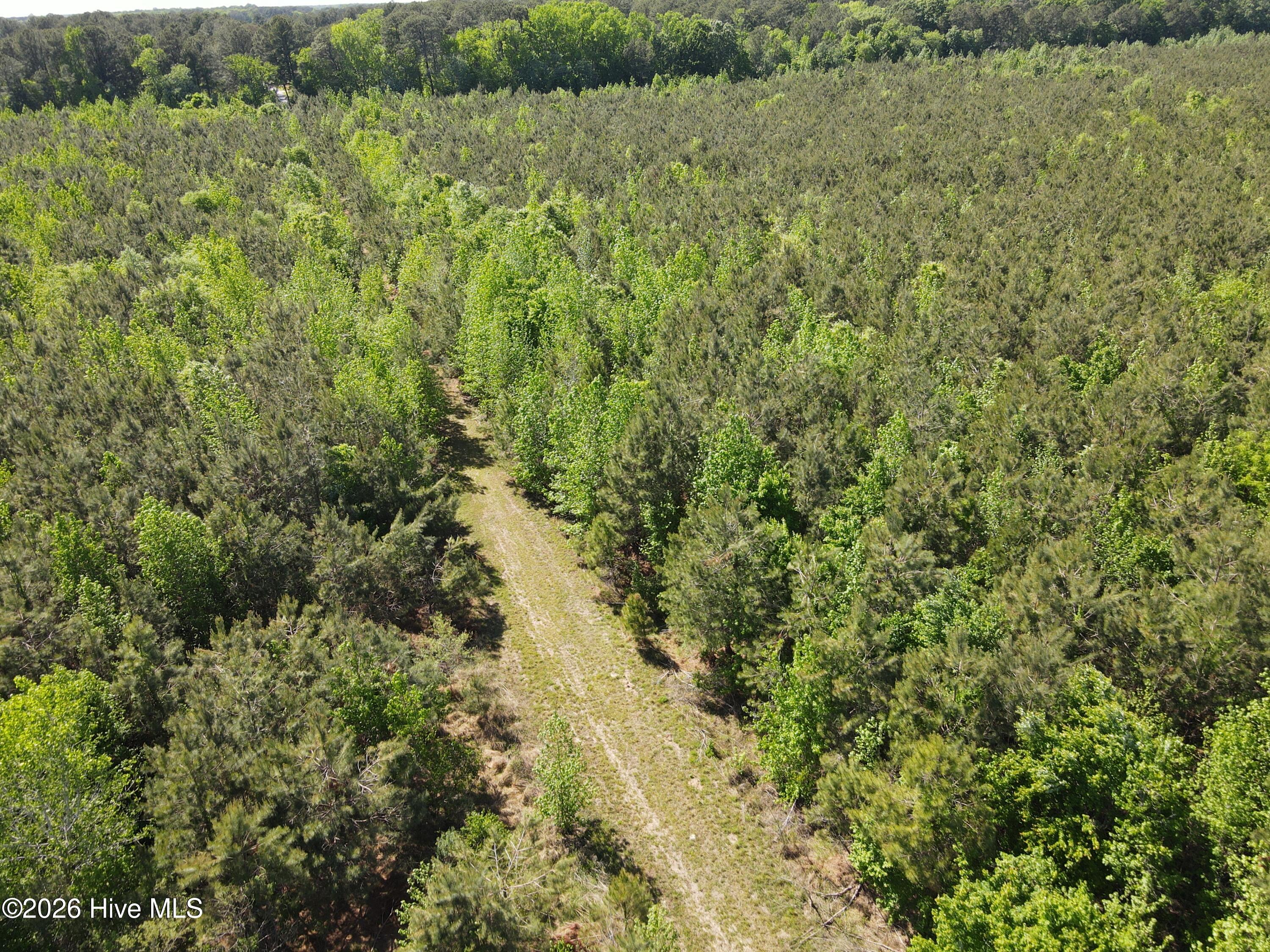 Ahoskie, North Carolina, 27910, United States, ,Land,For Sale,2048833