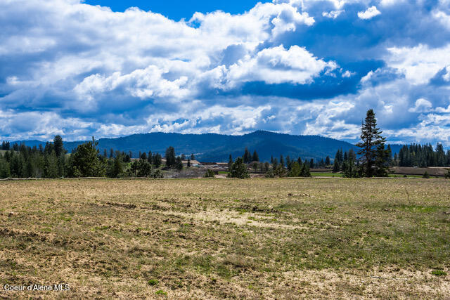 Coeur d'Alene, Idaho, 83814, United States, ,Residential,For Sale,1942579