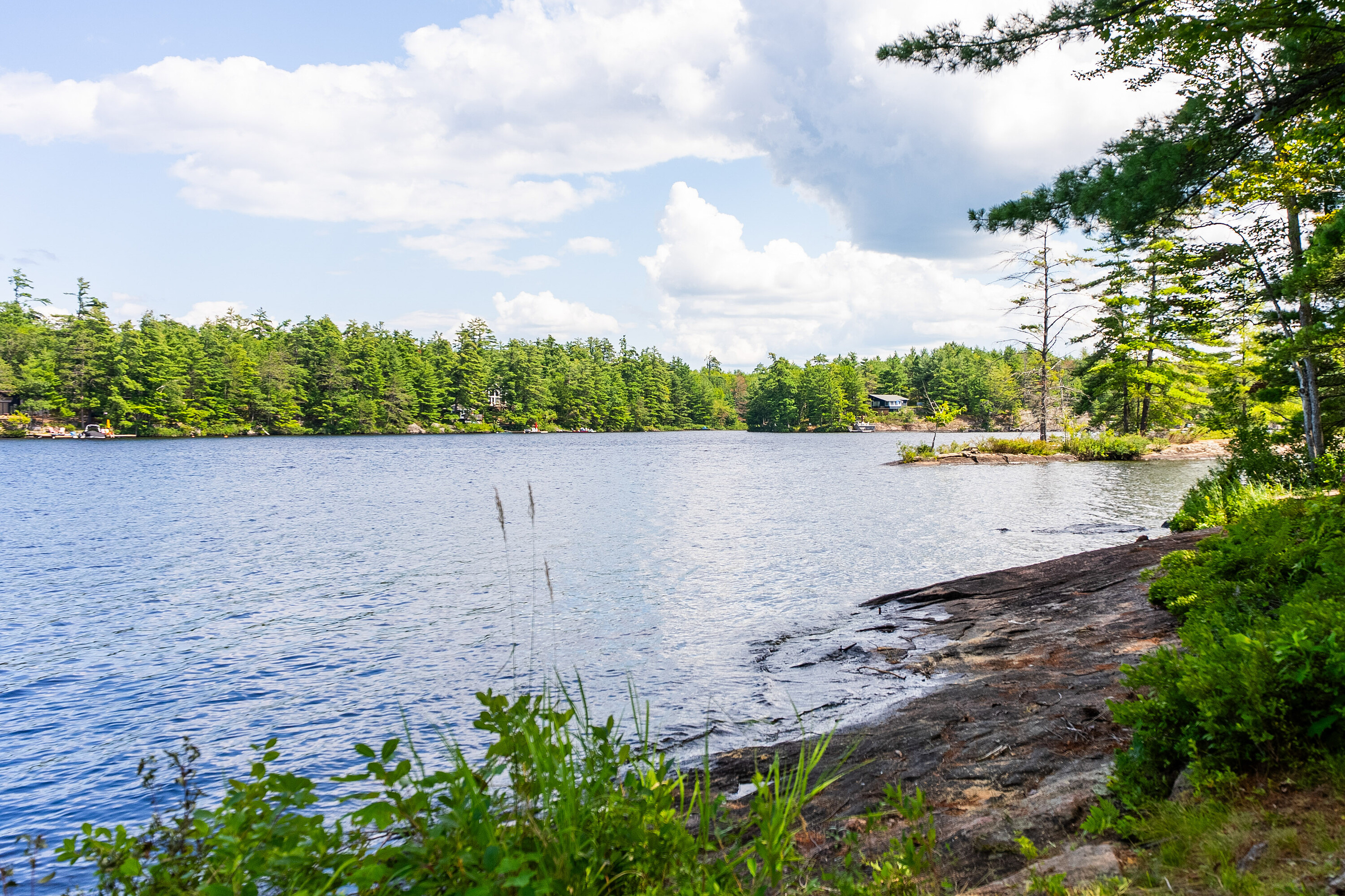  Four-Season Muskoka Living - 物件實景