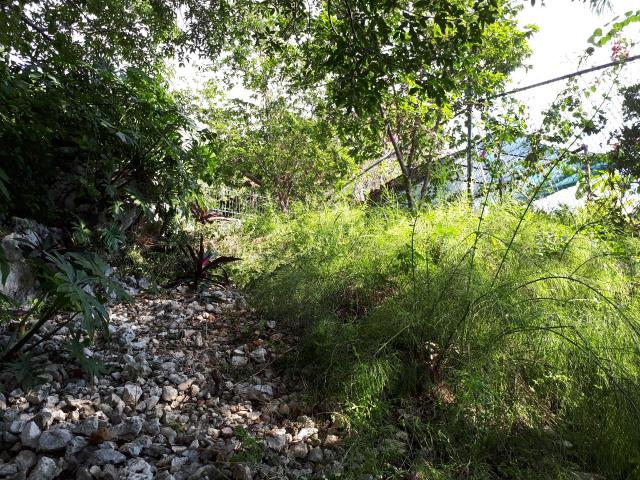 Kingston & St. Andrew, JM, 4 Bedrooms Bedrooms, ,5 BathroomsBathrooms,Residential,For Sale,1615791