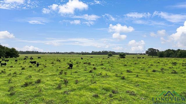 Henderson, Texas, 75654, United States, ,Land,For Sale,1885334
