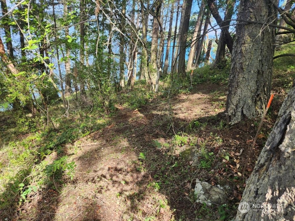 Friday Harbor, Washington, 98250, United States, ,Land,For Sale,1752518