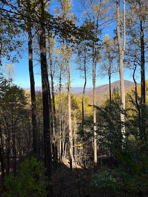 Ellijay, Georgia, 30536, United States, 4 Bedrooms Bedrooms, ,3 BathroomsBathrooms,Residential,For Sale,2003227