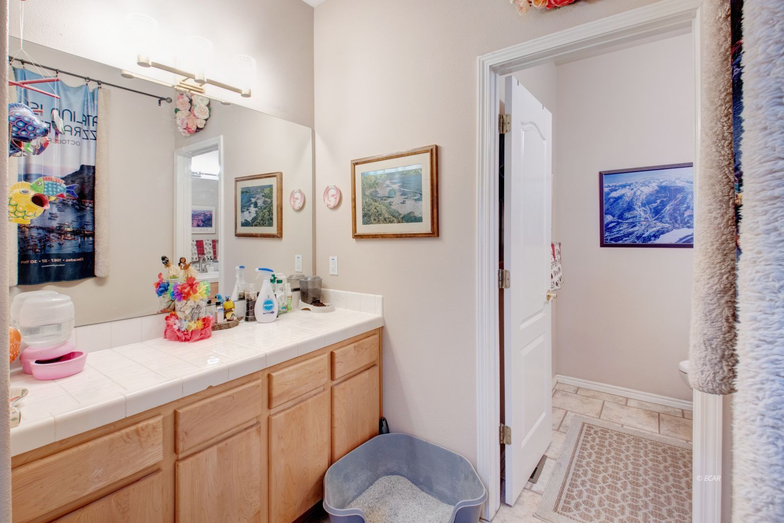 Lamoille, Nevada, 89828, United States, 3 Bedrooms Bedrooms, ,3 BathroomsBathrooms,Residential,For Sale,1697099