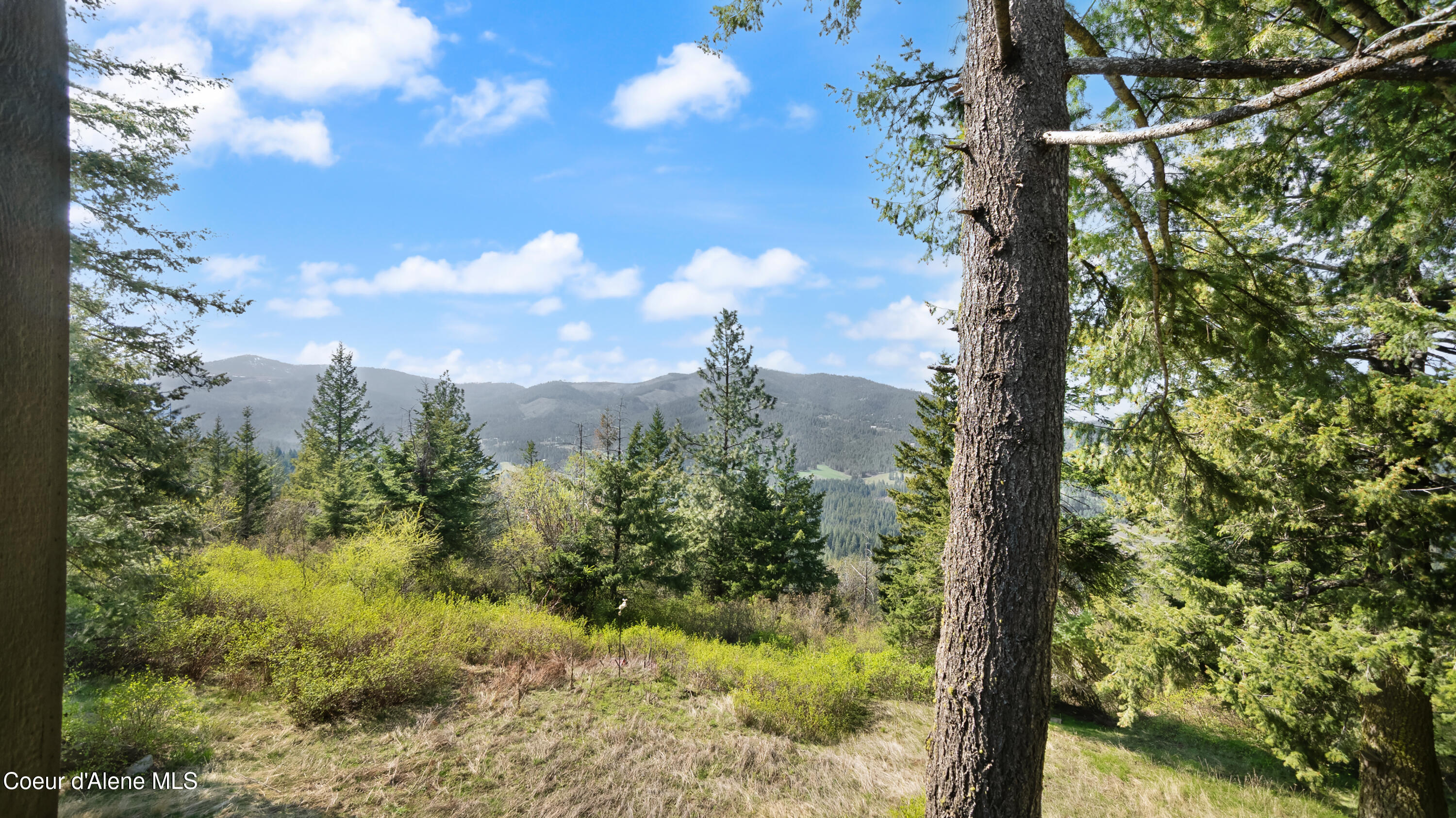 Coeur d'Alene, Idaho, 83814, United States, 3 Bedrooms Bedrooms, ,3 BathroomsBathrooms,Residential,For Sale,1980356