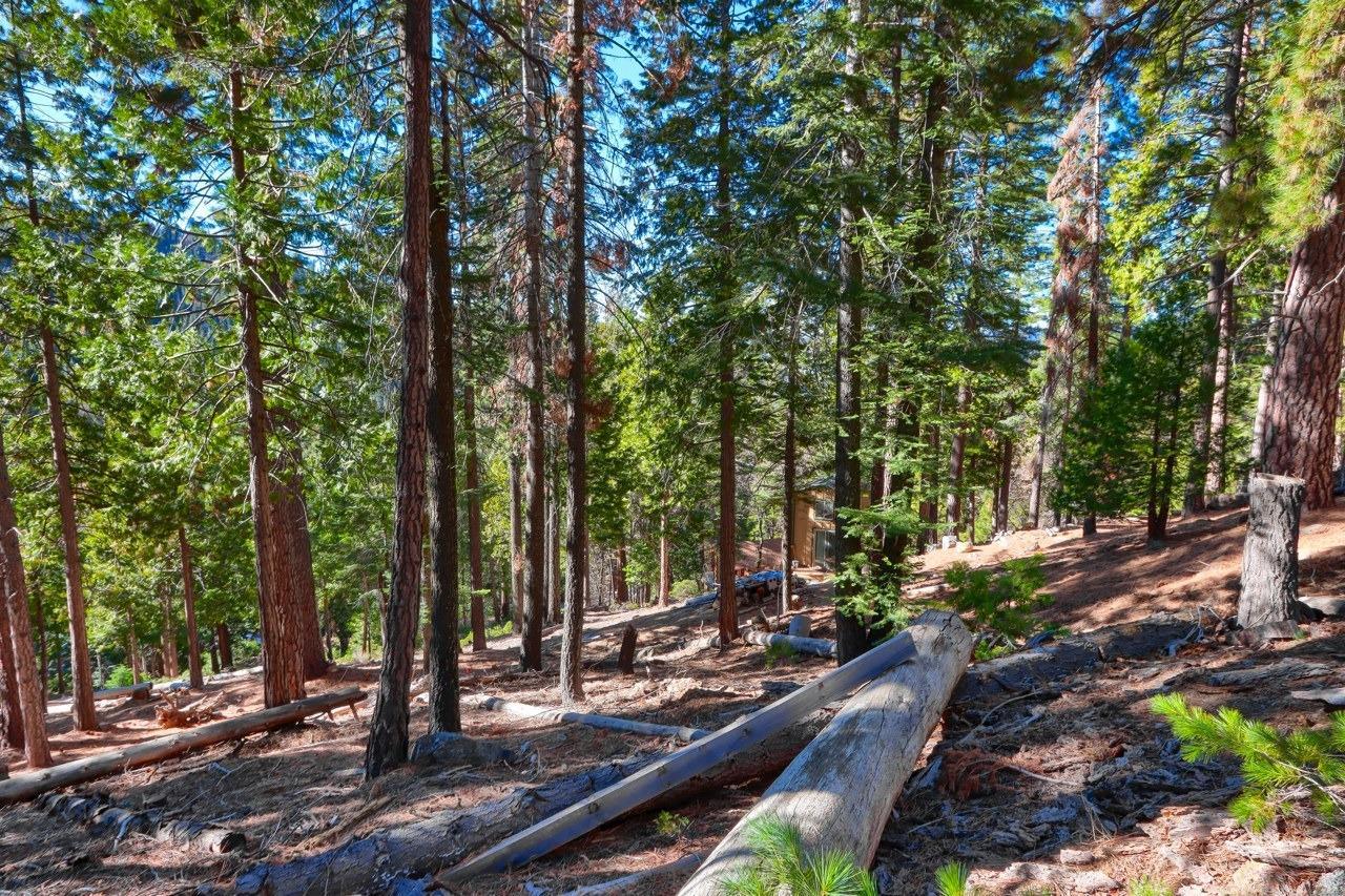 Yosemite West, California, 95389, United States, ,Residential,For Sale,1855046