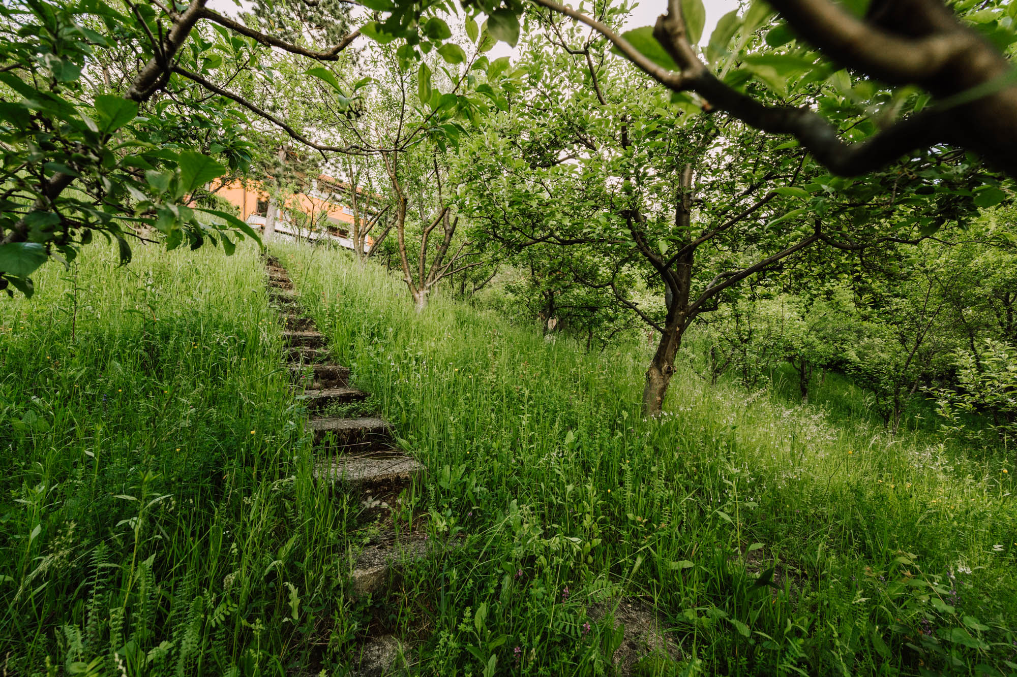  A Private Retreat Above the Prahova Valley - 物件實景