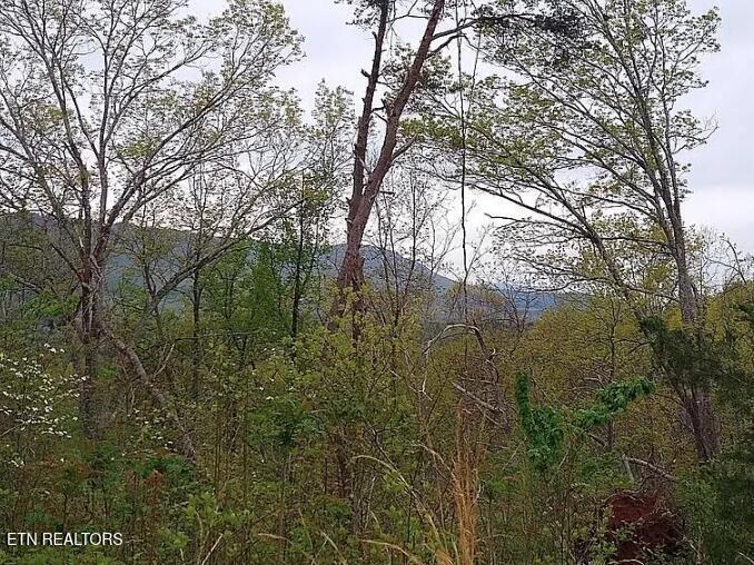 Englewood, Tennessee, 37329, United States, 2 Bedrooms Bedrooms, ,3 BathroomsBathrooms,Residential,For Sale,2002441