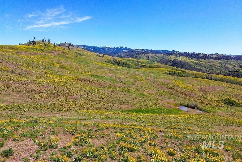 Council, Idaho, 83612, United States, ,Residential,For Sale,1862004