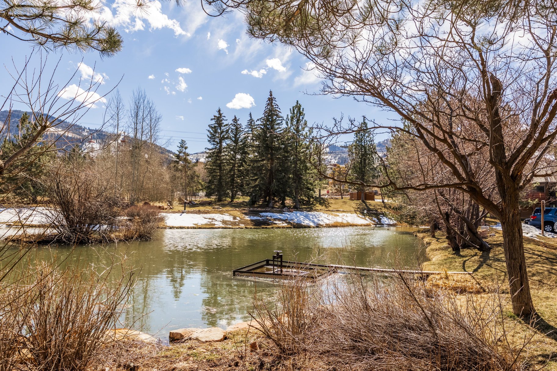 Hidden Gem Alert. Pond-Front. Turnkey. Income-Ready - 物件實景