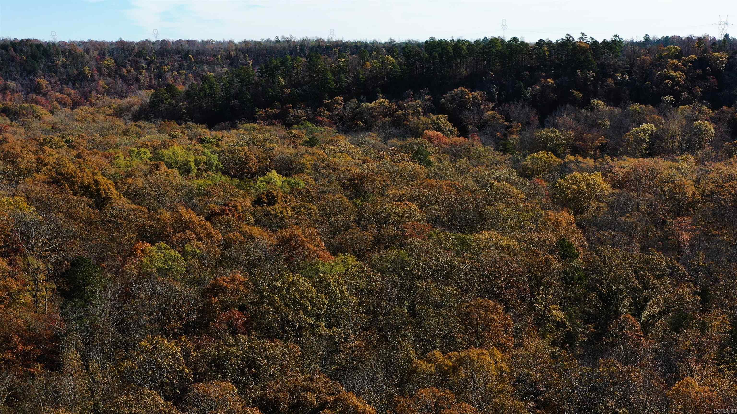 Judsonia, Arkansas, 72081, United States, ,Land,For Sale,1978553