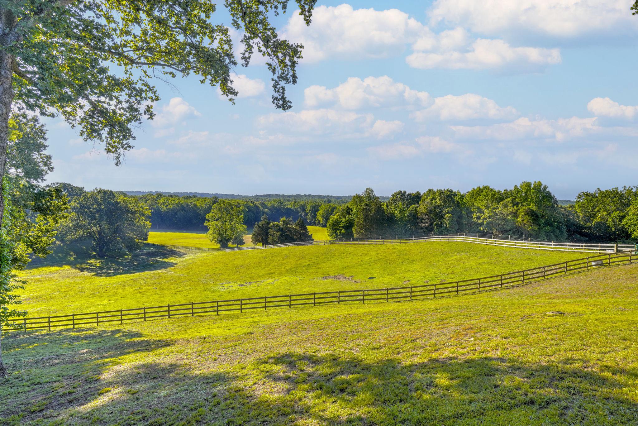  11746 Lucknow Lane, La Plata, MD, 20646 - 物件實景