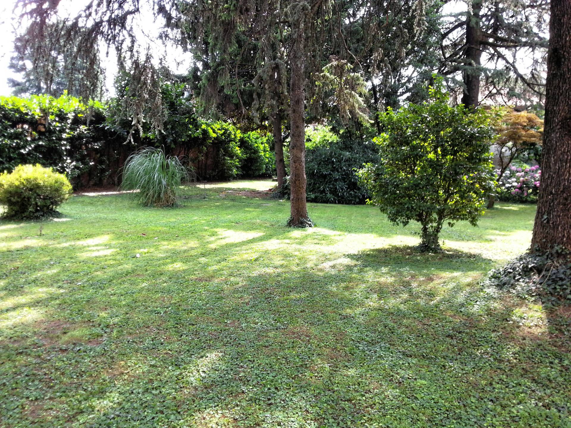Via Vittorio Veneto, Trezzano sul Naviglio, Milano, 20090, IT, ,Residential,For Sale,Via Vittorio Veneto,1655847