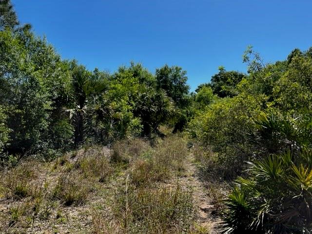 Punta Gorda, Florida, 33982, United States, ,Land,For Sale,1840783