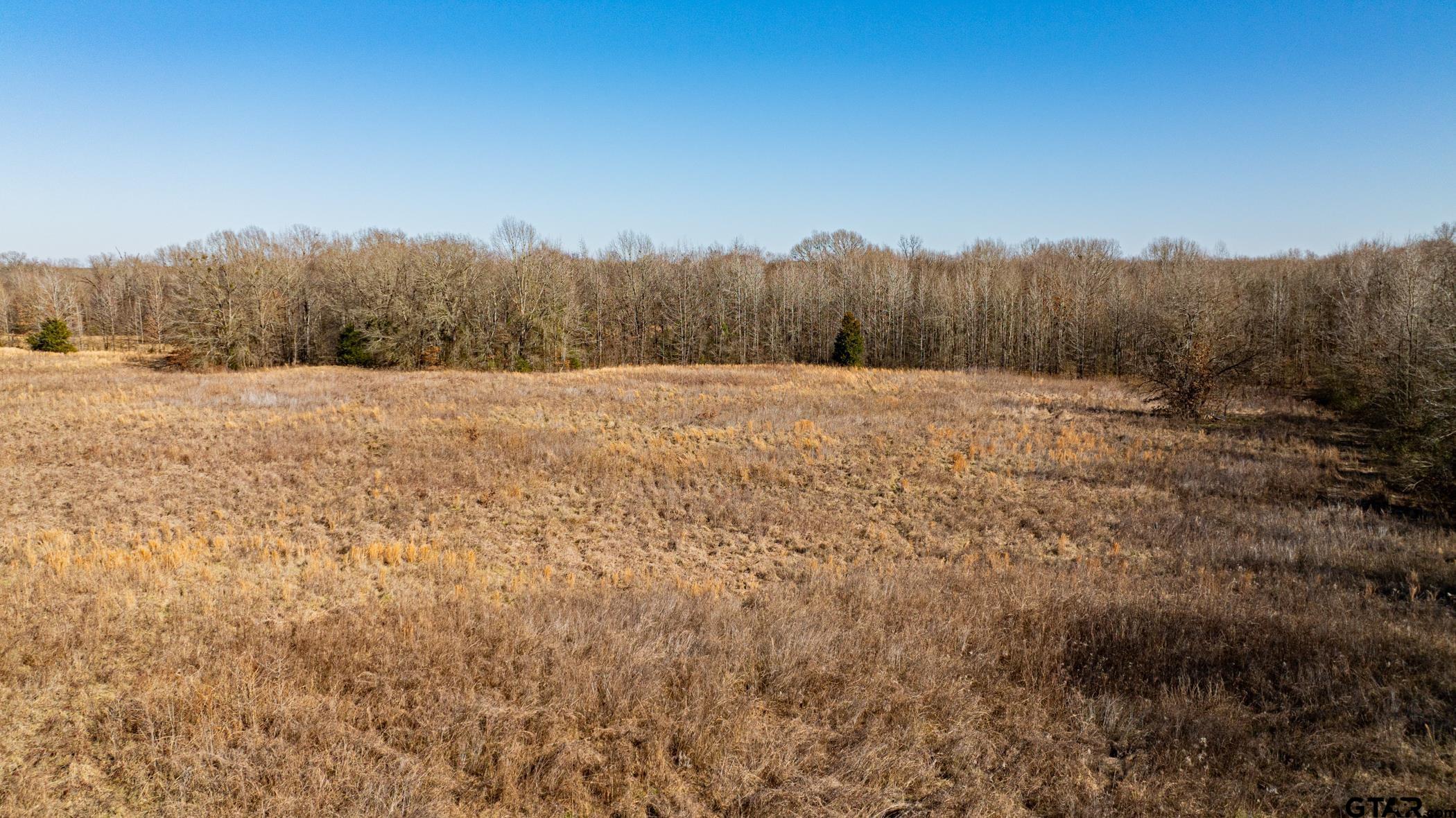 Dekalb, Texas, 75559, United States, ,Land,For Sale,1983481