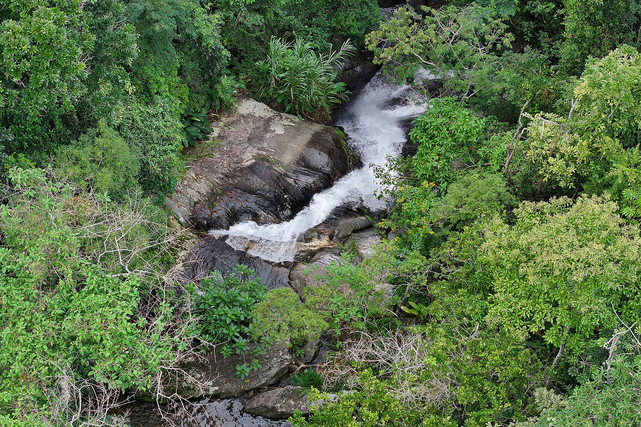  Historic estate with native forest, waterfalls, and ecotourism potential - 物件實景