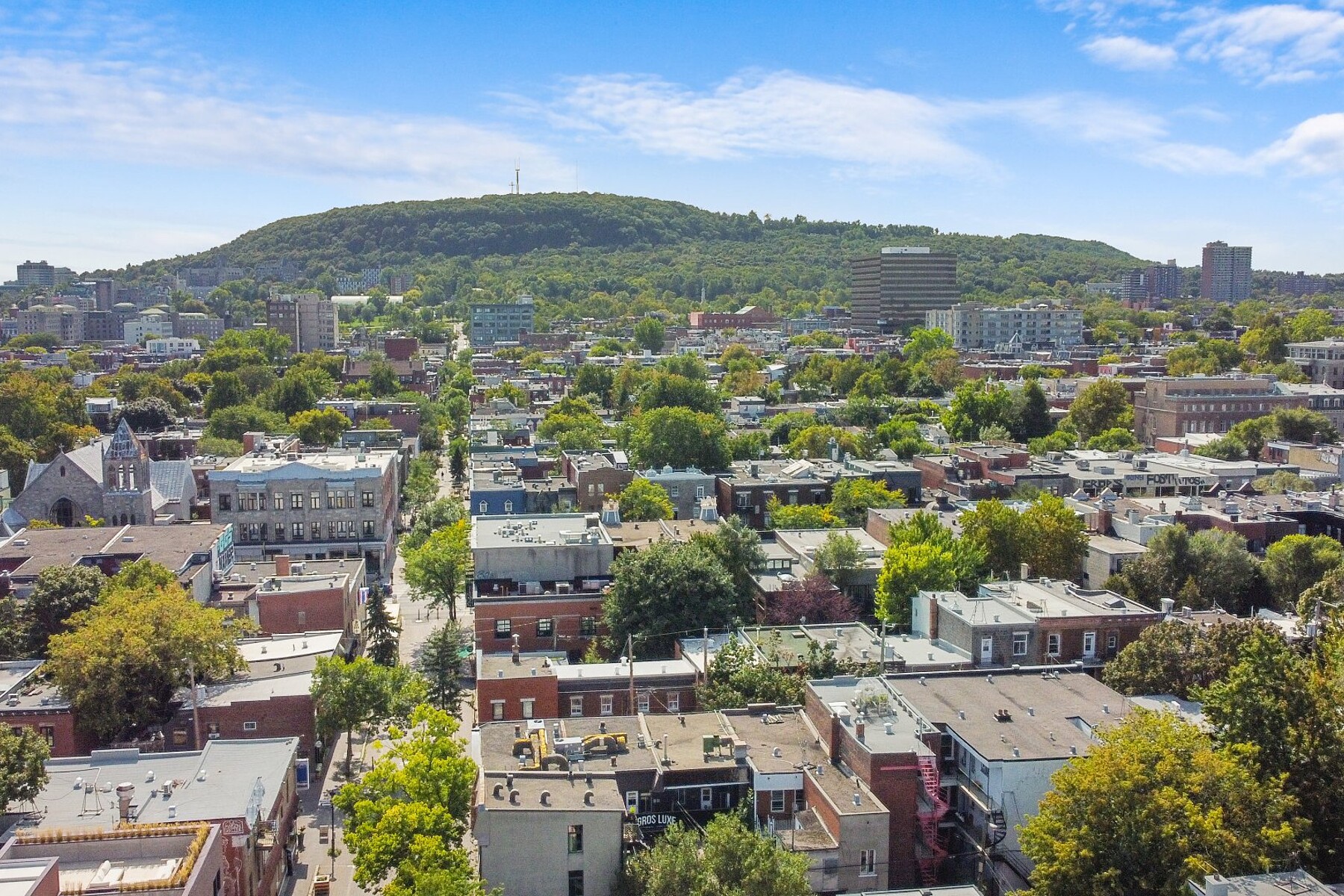  Le Plateau-Mont-Royal, Montréal - 物件實景