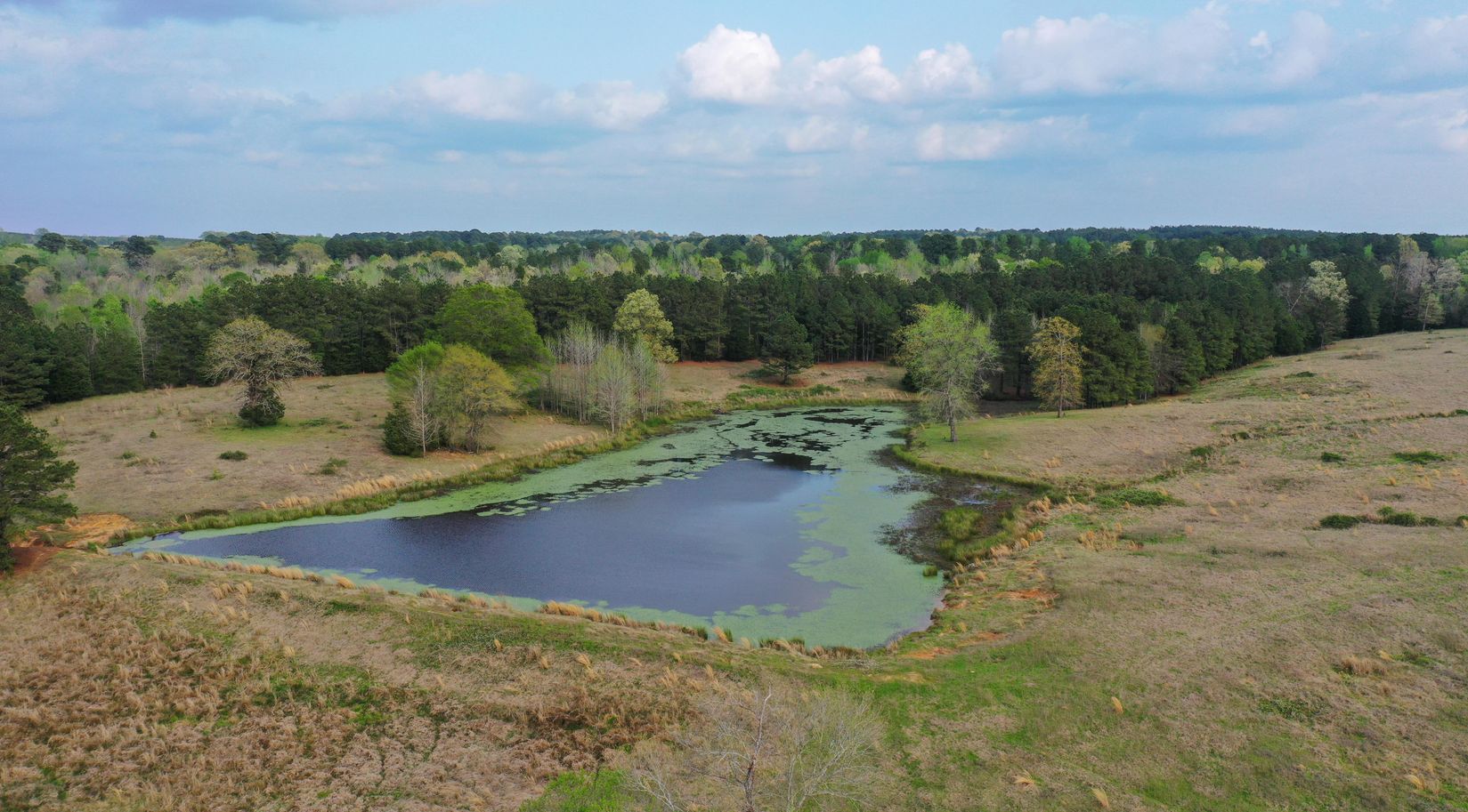 Bivins, Texas, 75555, United States, ,Residential,For Sale,1755933