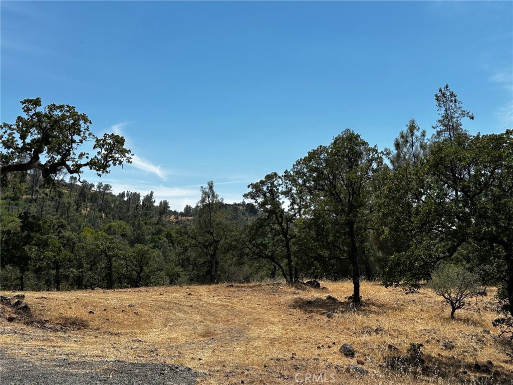 Chico, California, 95928, United States, ,Land,For Sale,1974273