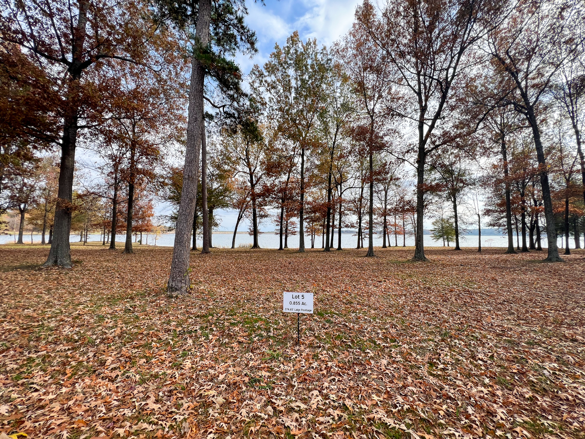Mt Vernon, Texas, 75457, United States, ,Residential,For Sale,1861116