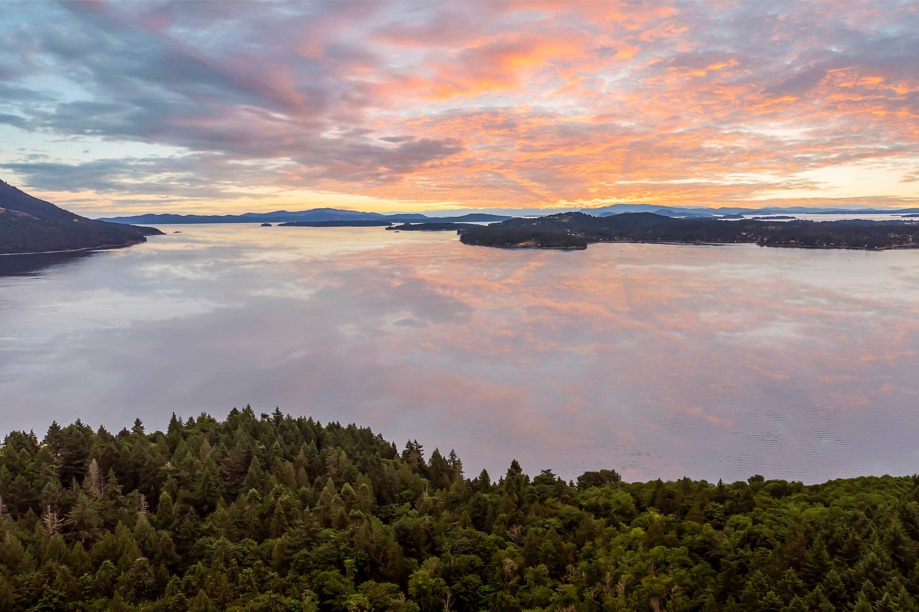  Arbutus Ridge - 物件實景