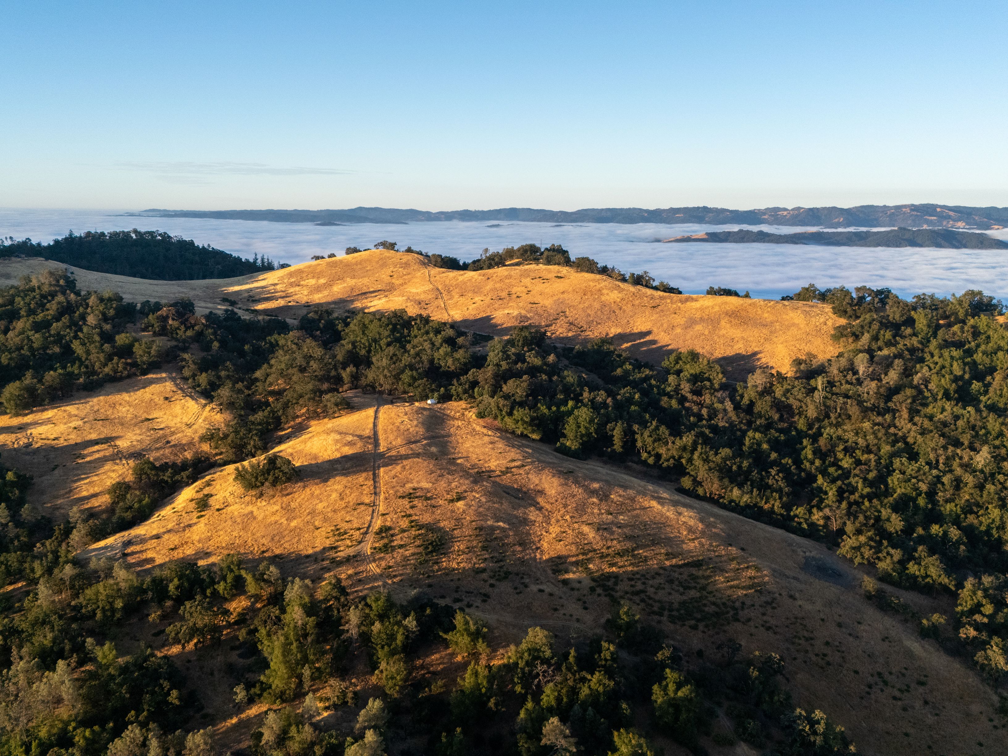  Very Rare Opportunity Alexander Valley Ranch - 物件實景