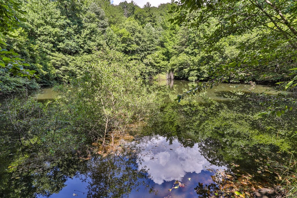 Cherry Log, Georgia, 30522, United States, ,Land,For Sale,1858995