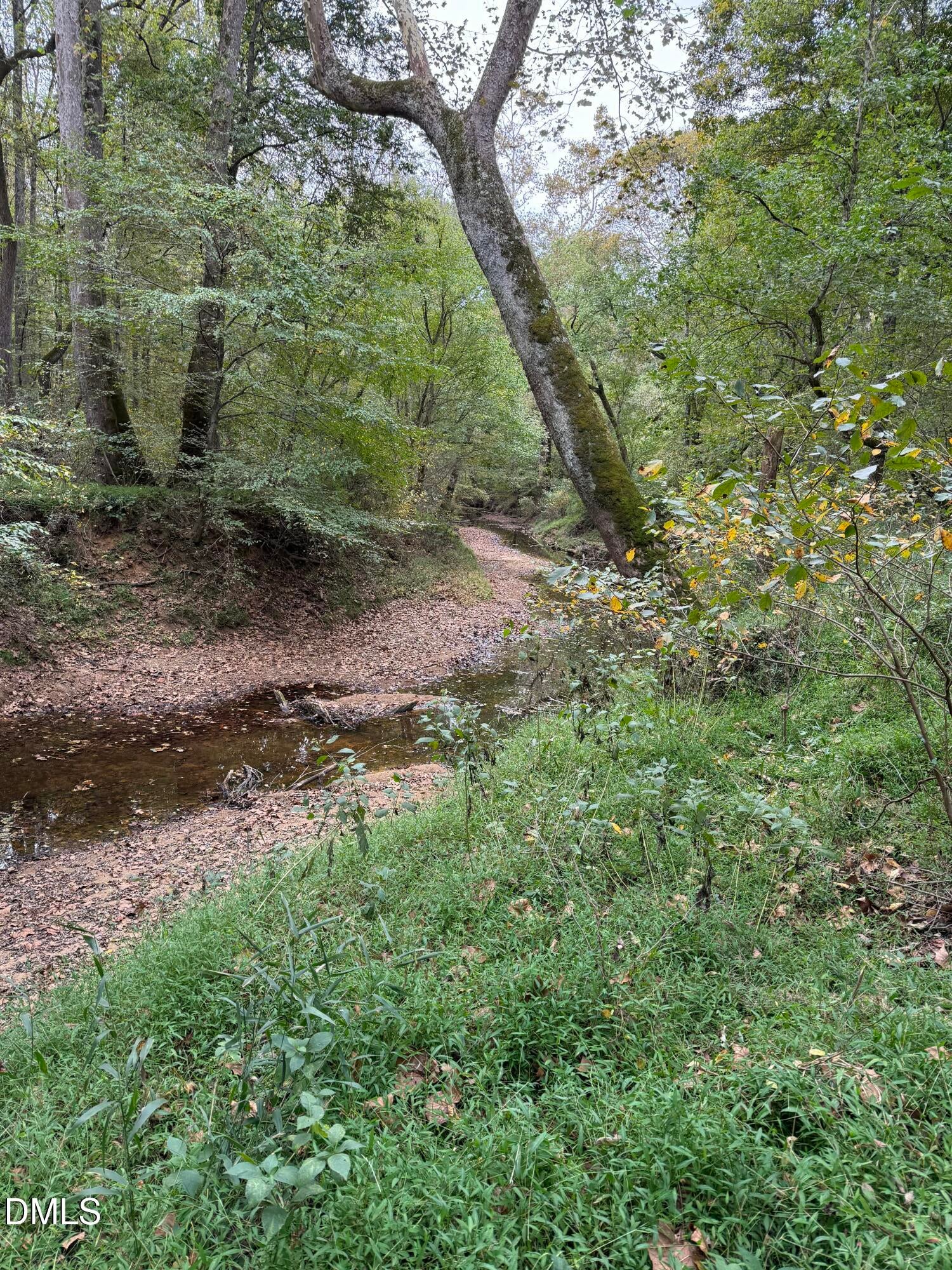 Oxford, North Carolina, 27565, United States, ,Land,For Sale,2000467