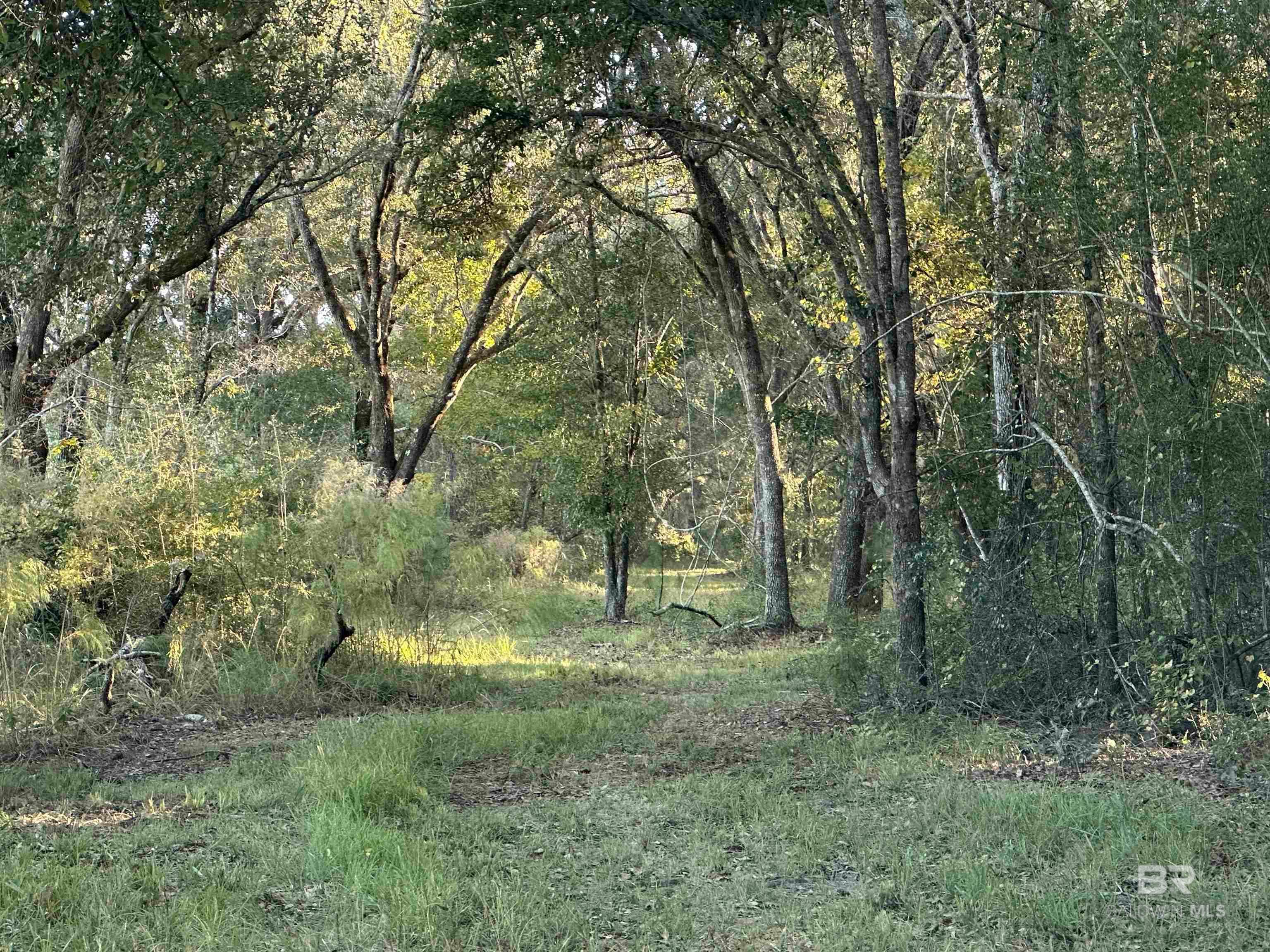 Foley, Alabama, 36535, United States, ,Land,For Sale,1992817