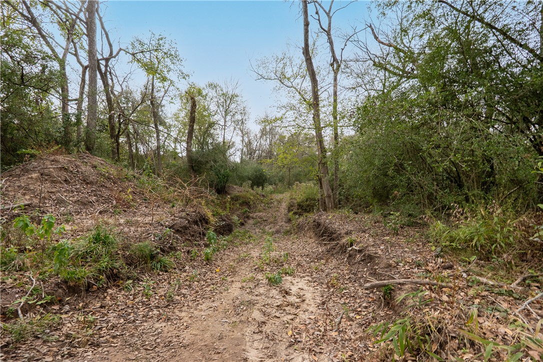 Thornton, Texas, 76687, United States, ,Land,For Sale,2003074