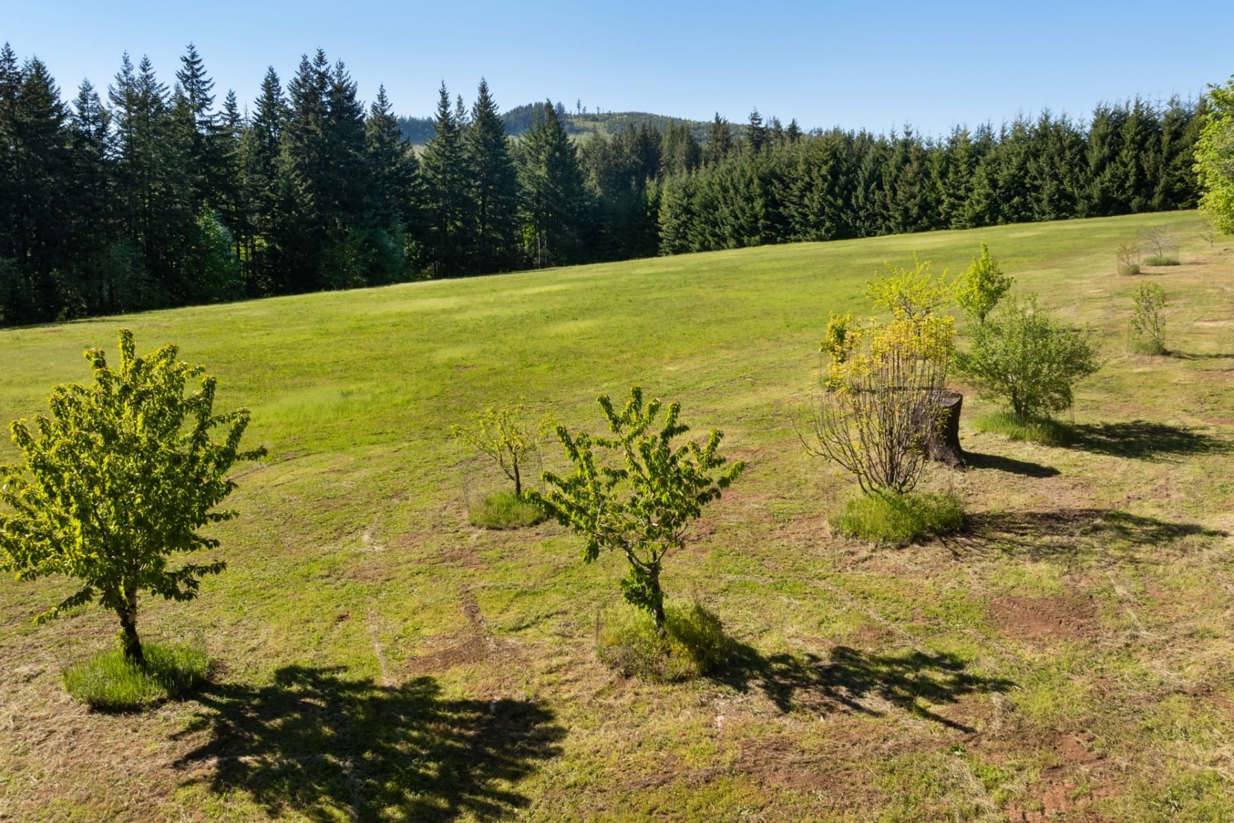  9491 COOK UNDERWOOD RD Underwood, WA 98651 - 物件實景