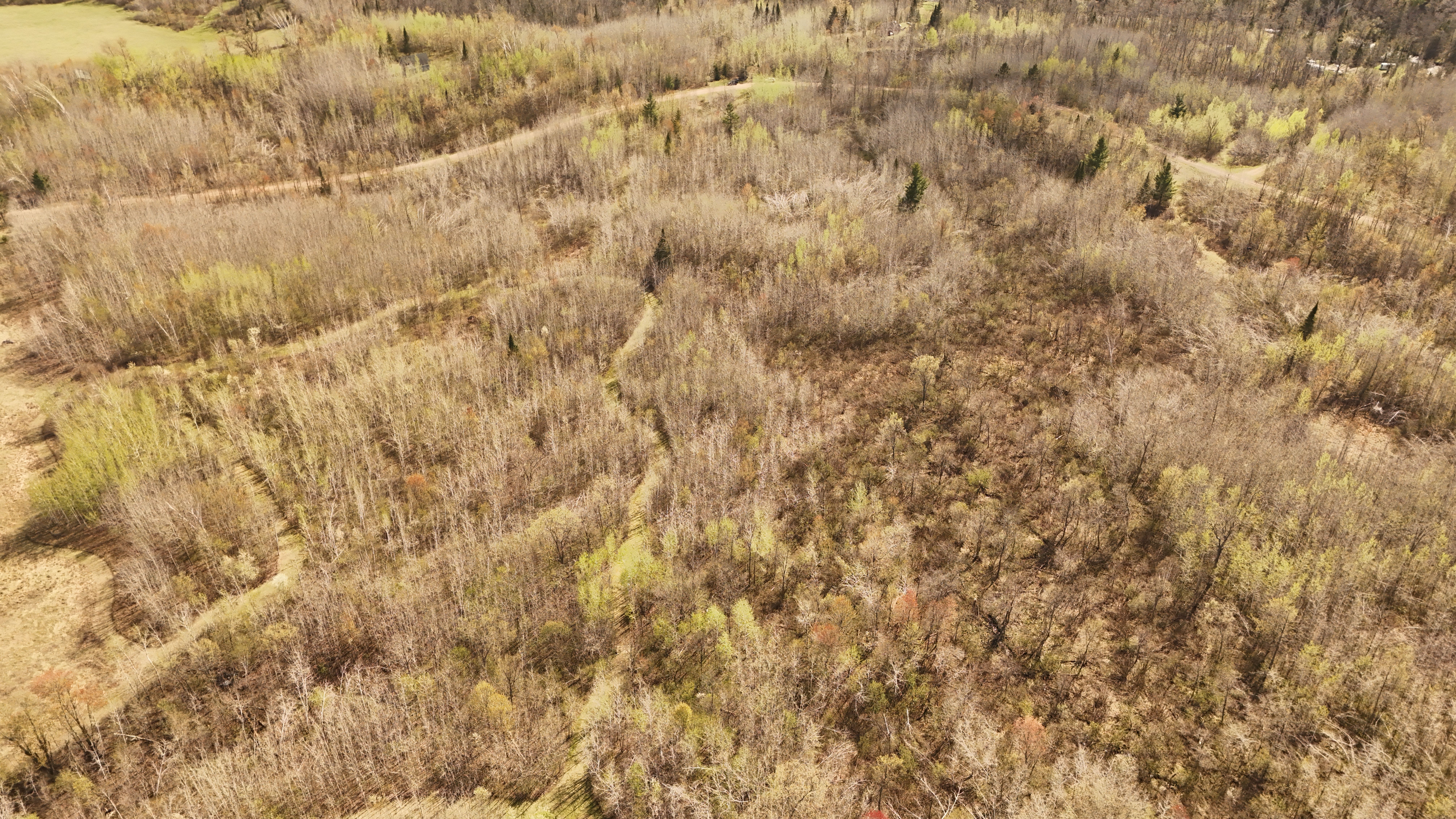 80729 Tamarack Ranch Road, Sandstone, MN 55072 - 物件實景