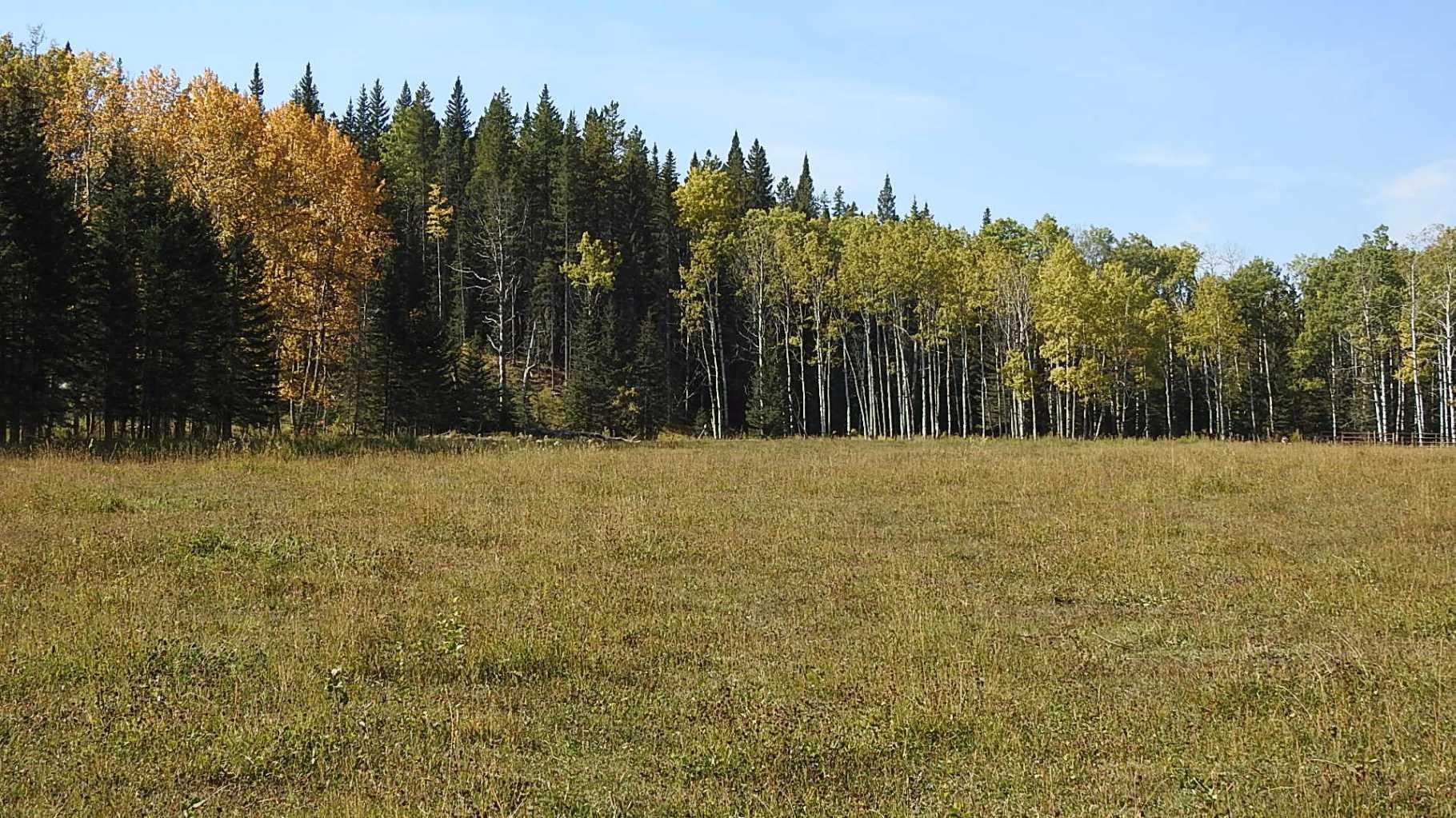 RURAL FOOTHILLS COUNTY, Alberta, T0L 1K0, CA, ,Residential,For Sale,1836944