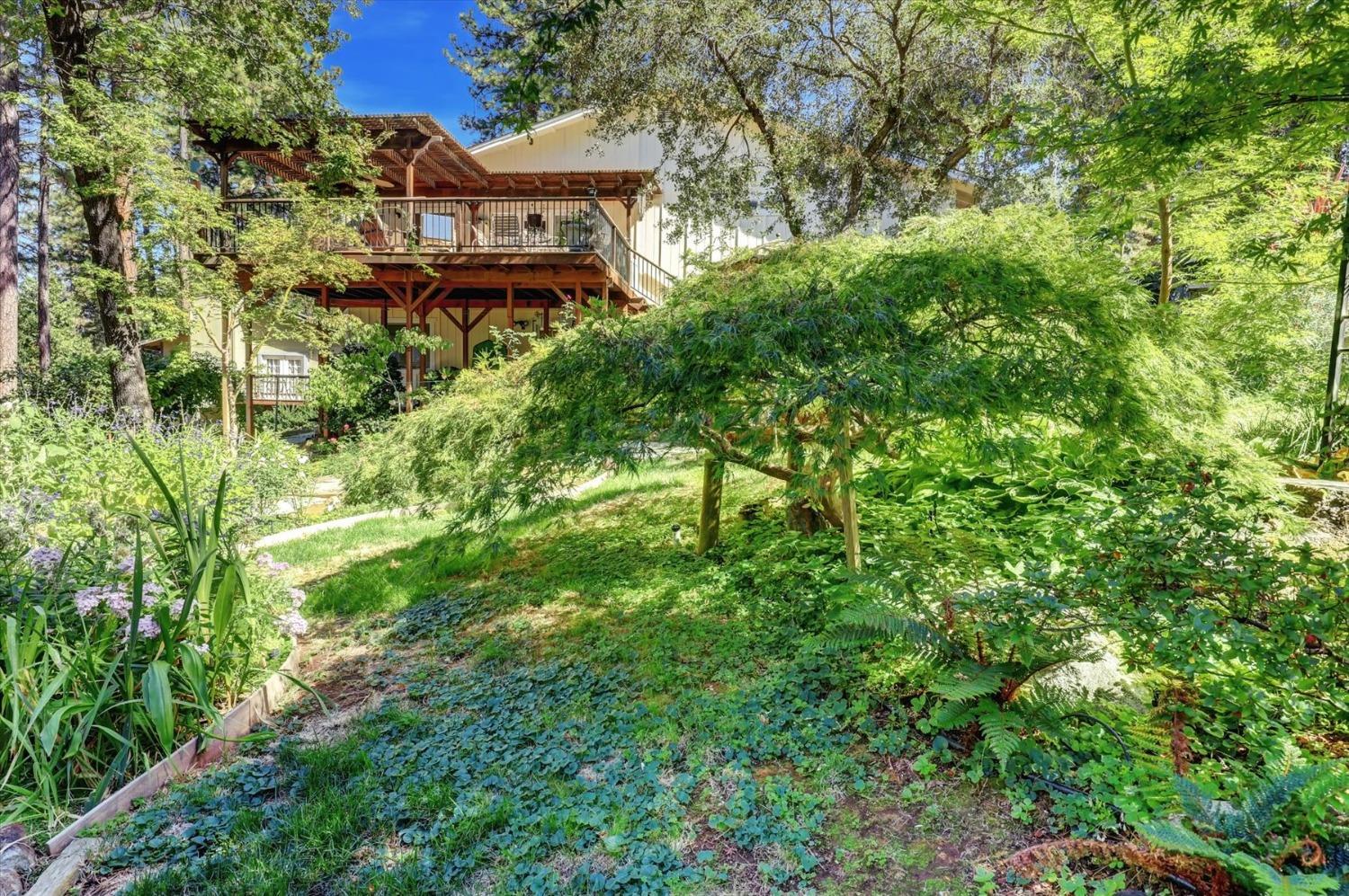 12252 Francis Drive, Grass Valley, California, 95949, United States, 3 Bedrooms Bedrooms, ,2 BathroomsBathrooms,Residential,For Sale,12252 Francis Drive,1631801