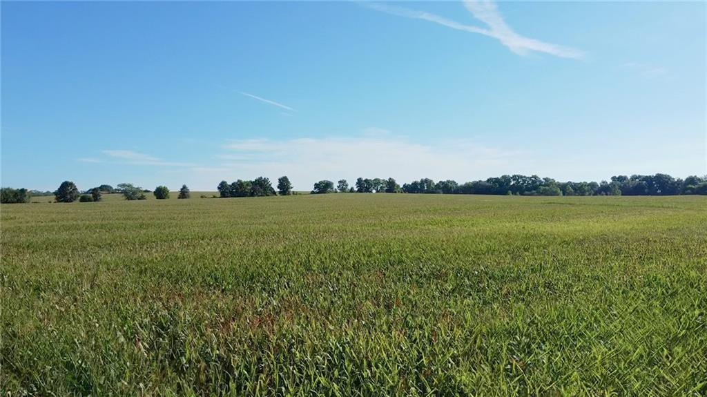 Trenton, Missouri, 64683, United States, ,Land,For Sale,1978686