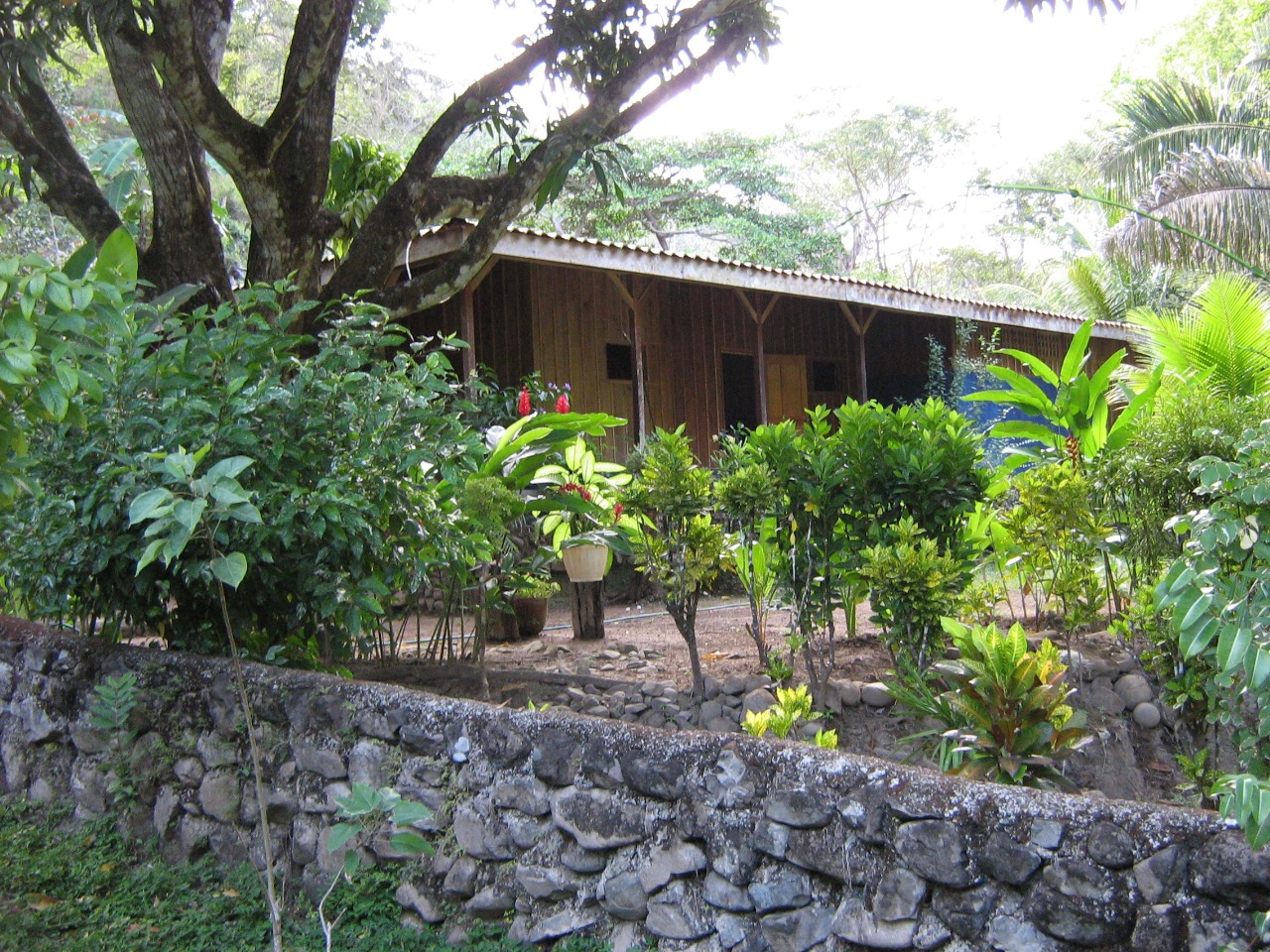 Vainilla Pochote Tambor, Tambor, Puntarenas, CR, ,Land,For Sale,Vainilla Pochote Tambor,1616133