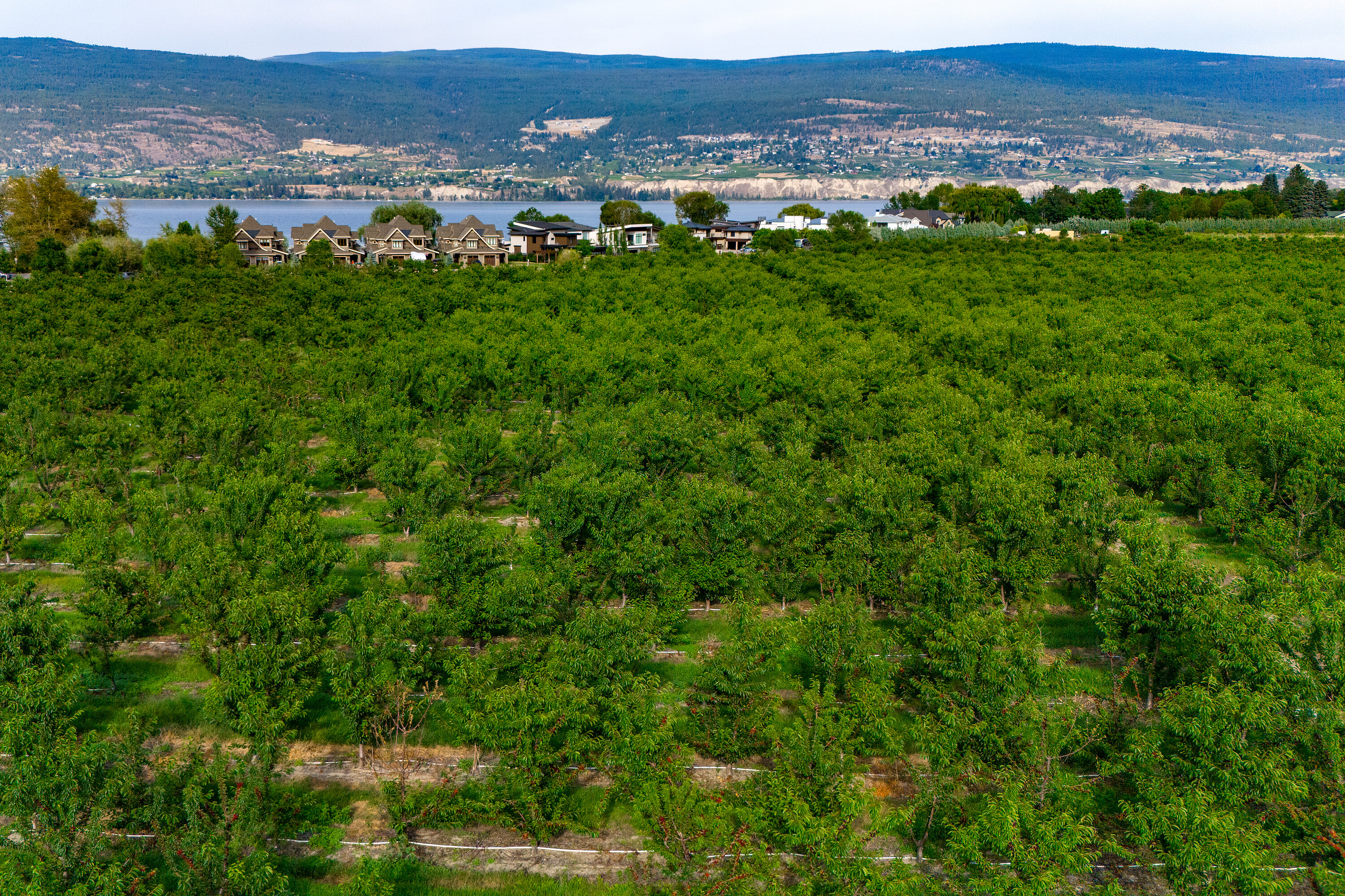  Cherry Orchard Foreclosure - 物件實景