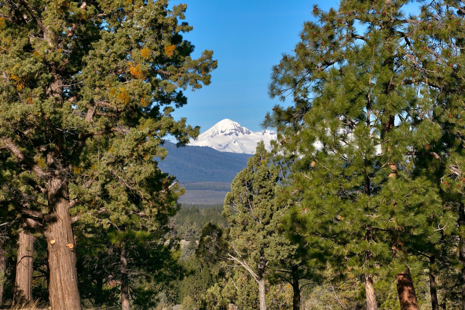  3380 NW Greenleaf Way Bend, OR 97703 - 物件實景