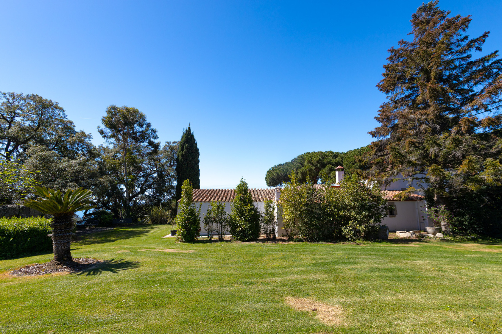  Unique and exceptional farmhouse in Supermaresme - Costa BCN - 物件實景
