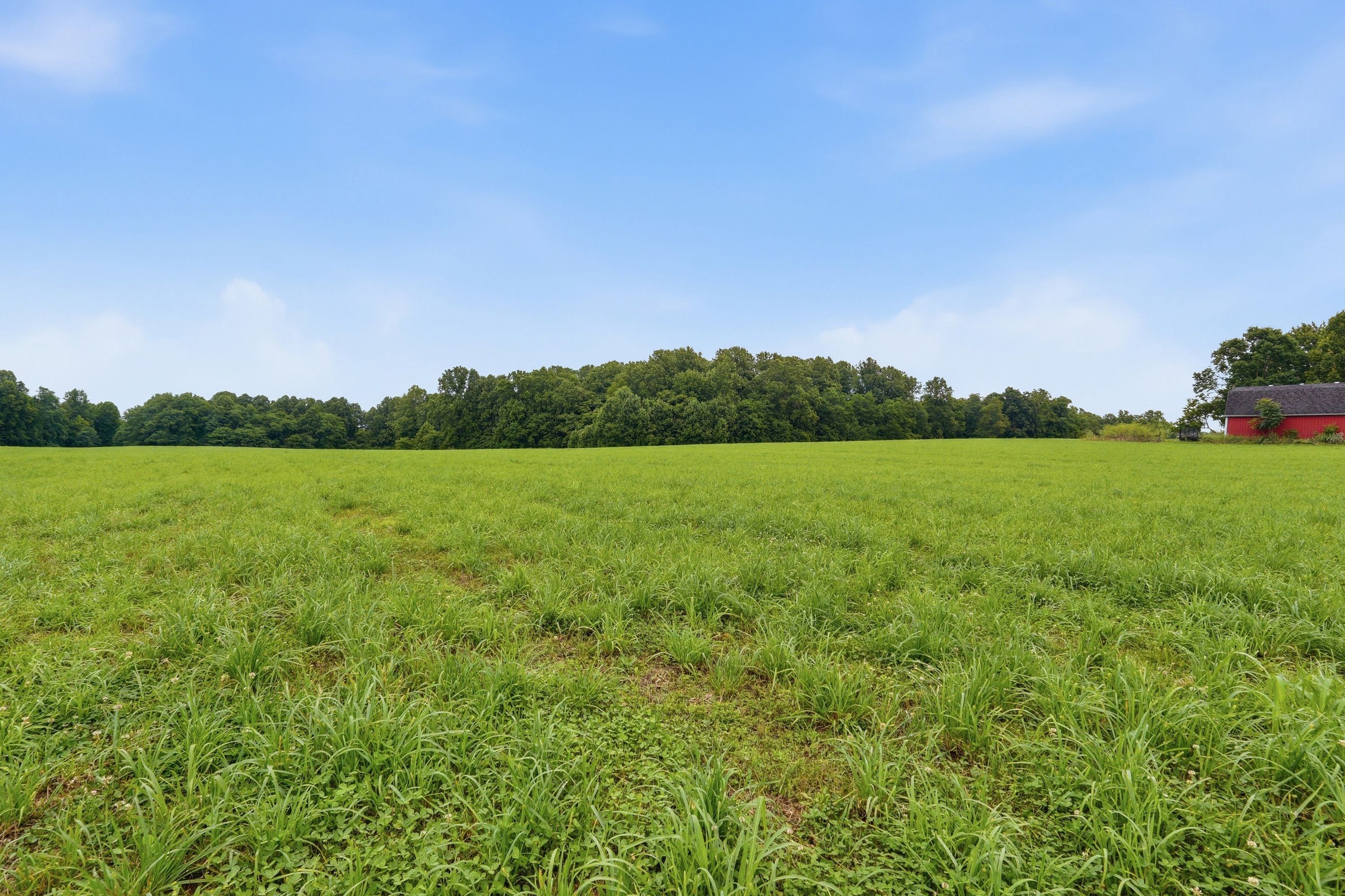  3850 Smith Lane, La Grange, KY 40031 - 物件實景