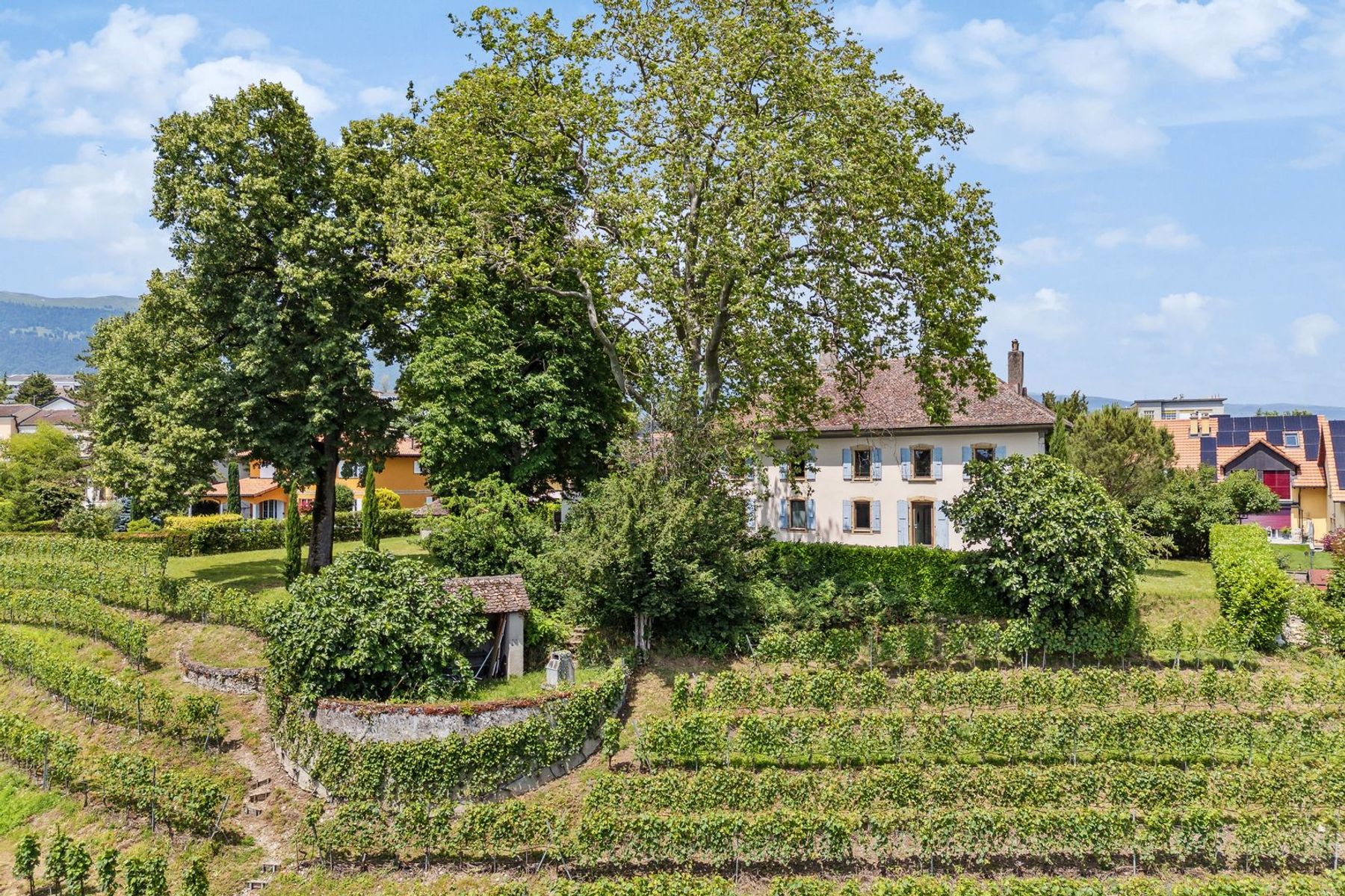  Sumptuous historic property on a wine-growing estate - 物件實景