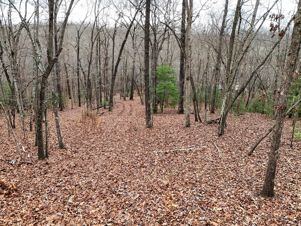 Blue Ridge, Georgia, 30513, United States, ,Land,For Sale,1859049