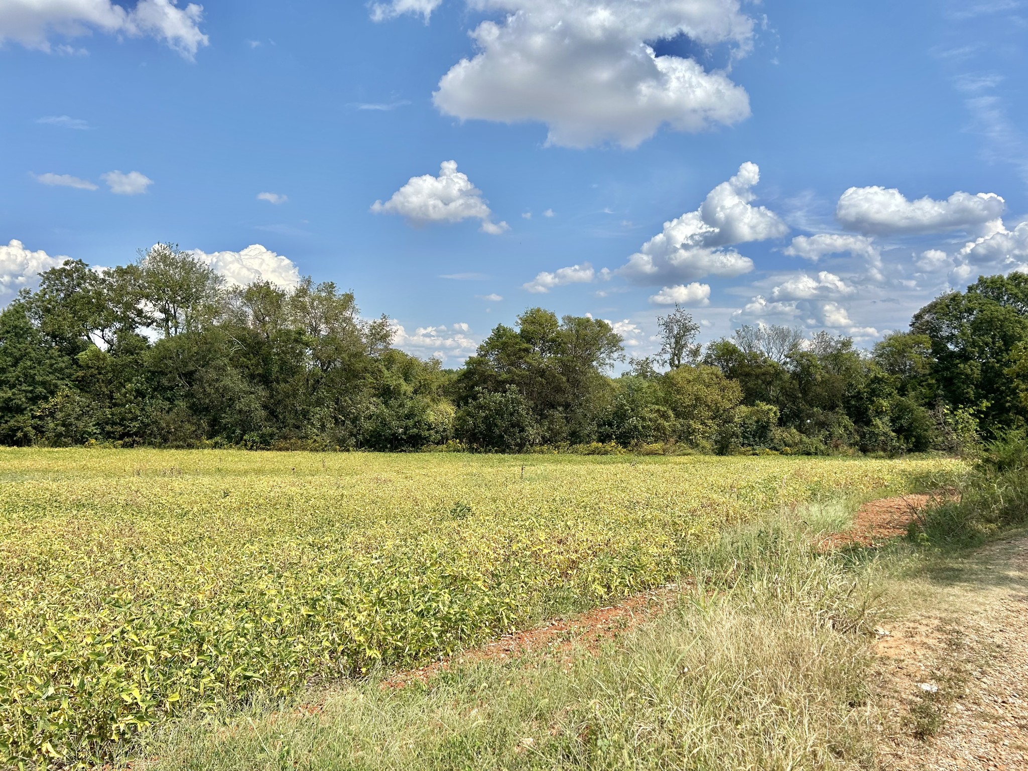 Decherd, Tennessee, 37324, United States, ,Land,For Sale,2016602