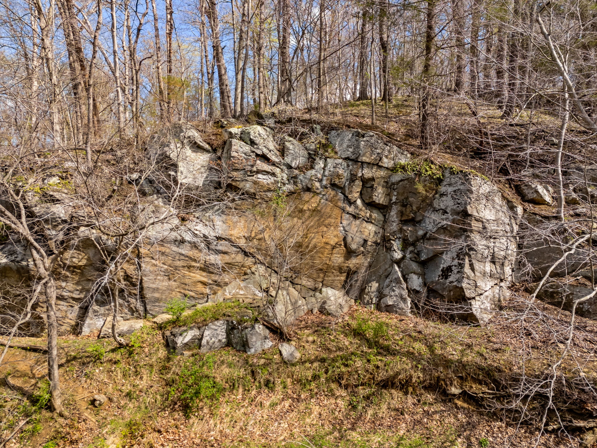  14039 Amys Meadow Court, Leesburg, VA, 20176 - 物件實景