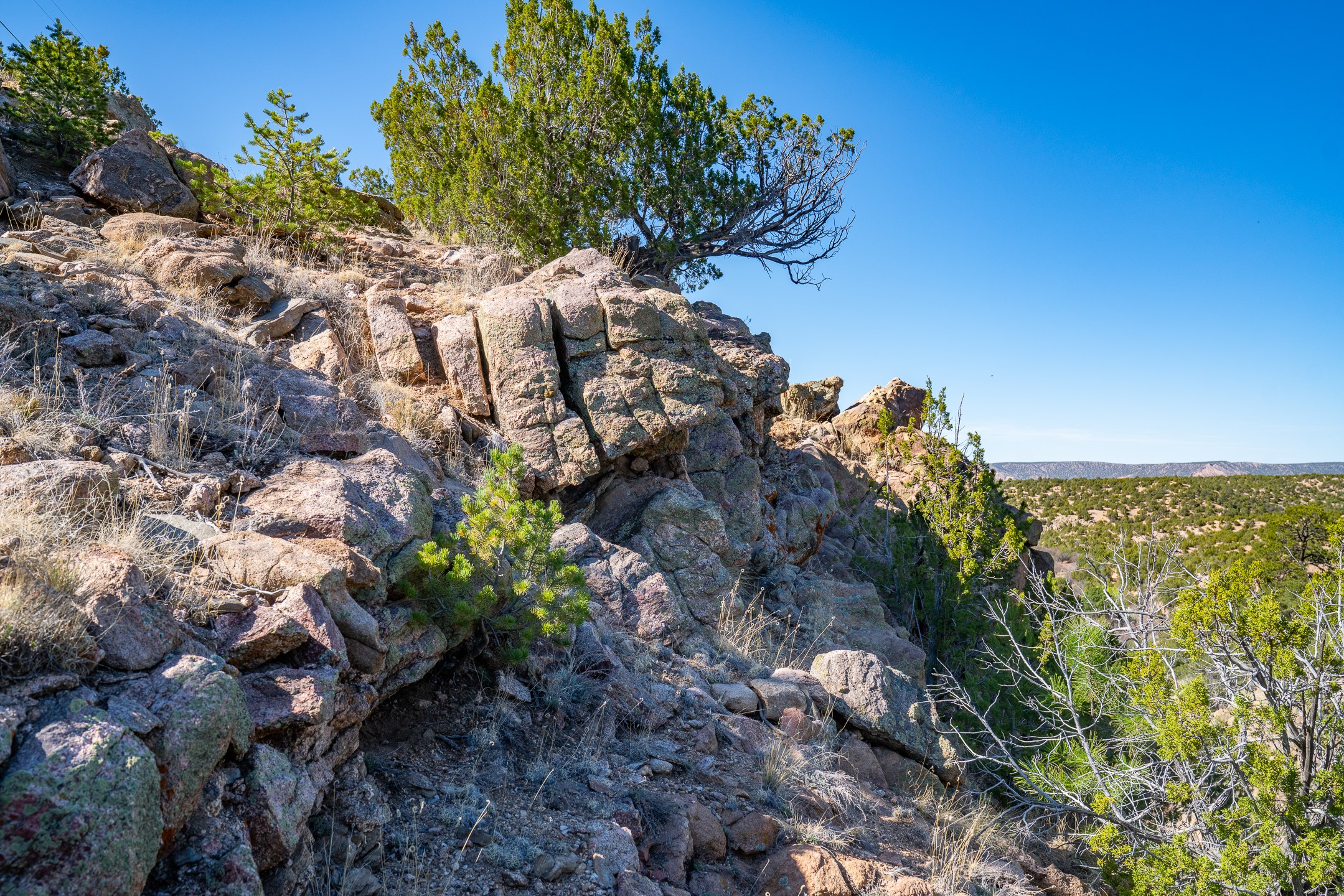  3.5 Acre Lot Camino Del Canon - 物件實景