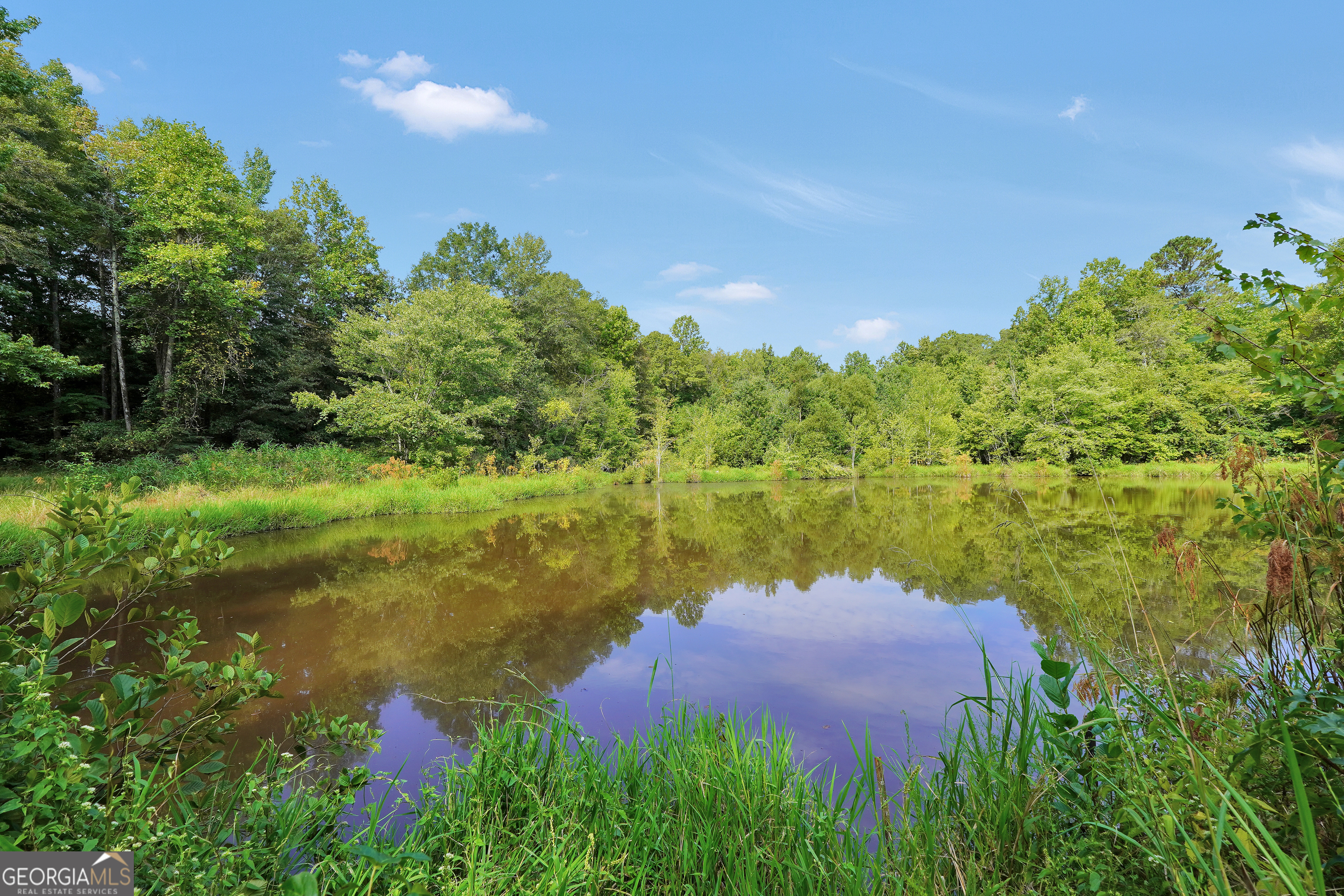 Williamson, Georgia, 30292, United States, 2 Bedrooms Bedrooms, ,2 BathroomsBathrooms,Residential,For Sale,1982609