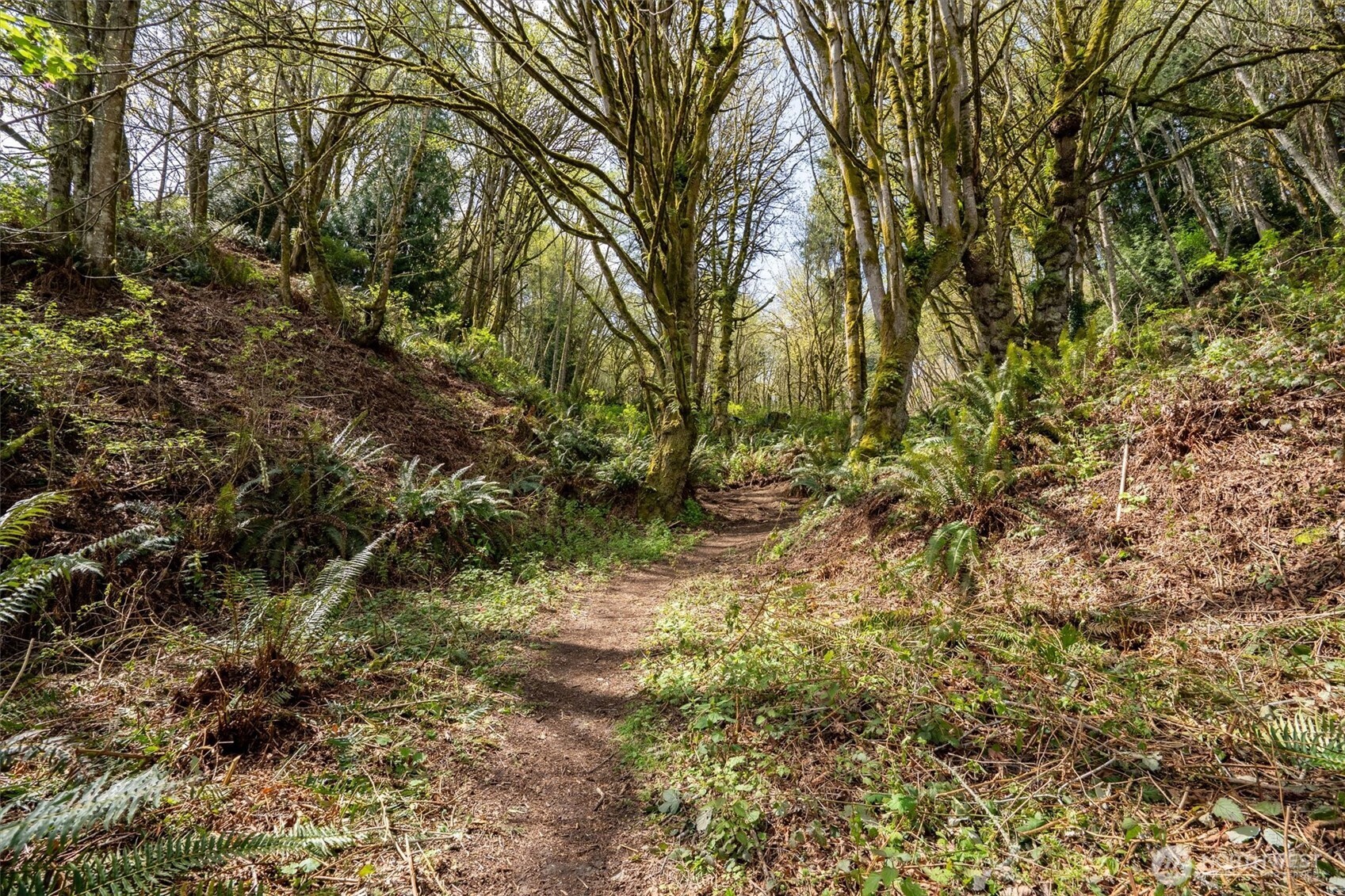 Port Orchard, Washington, 98367, United States, ,Land,For Sale,1767401