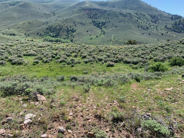 Lapoint, Utah, 84039, United States, ,Land,For Sale,1984021