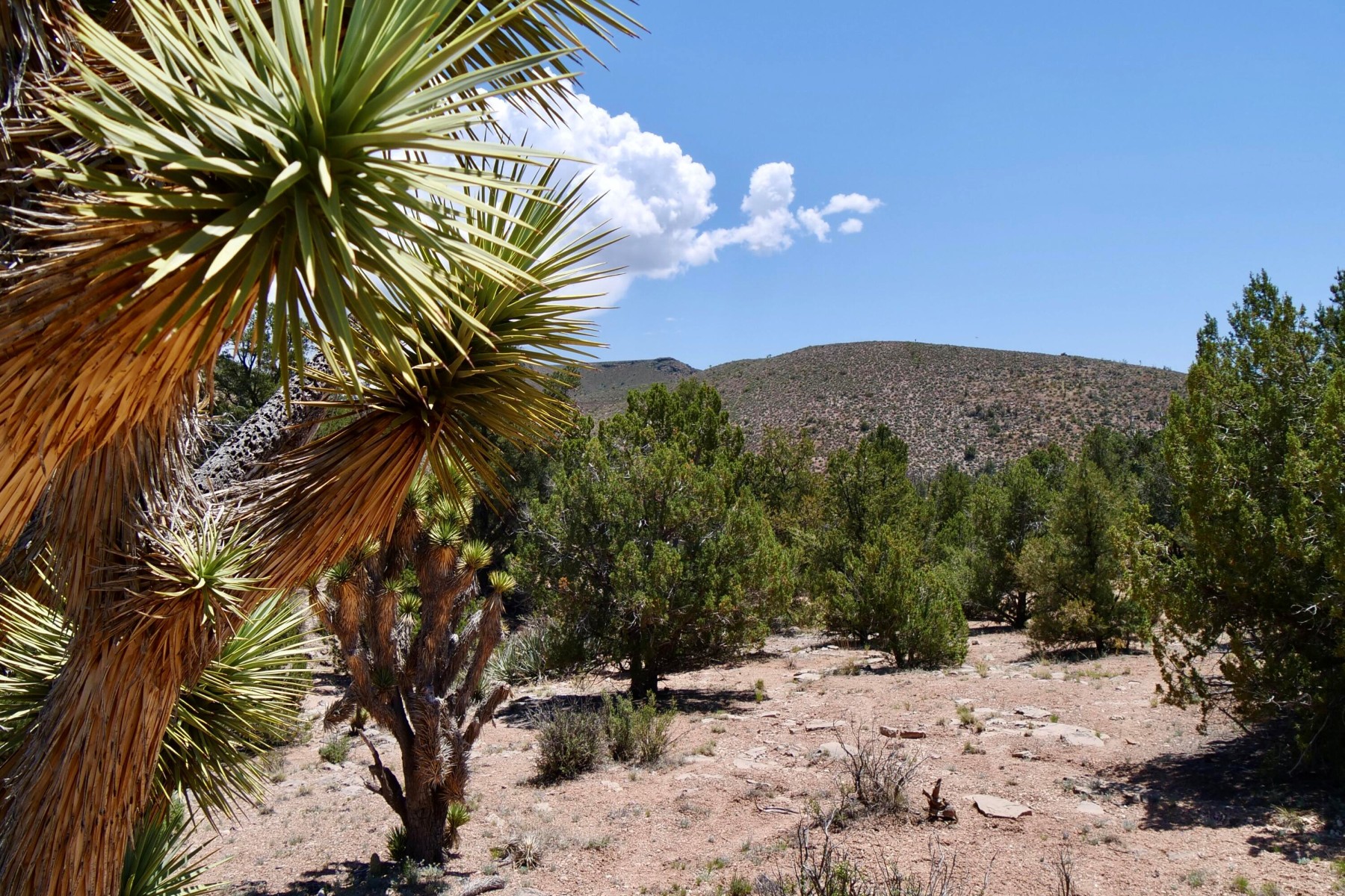  5838 E Diamond Bar Road ¦ Meadview, AZ - 物件實景